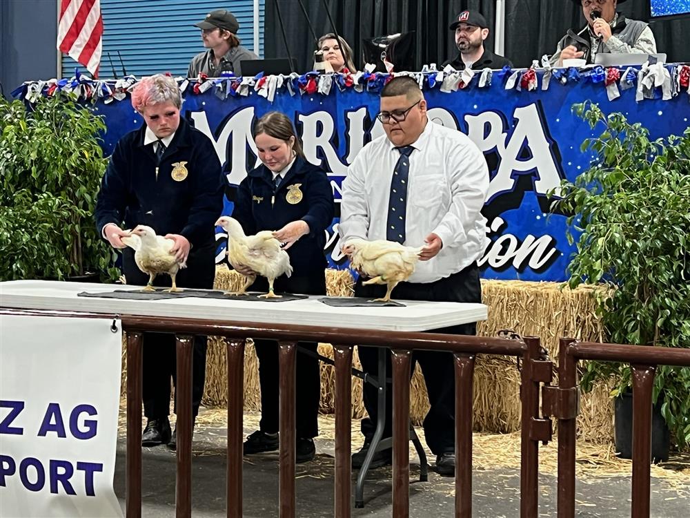 Jordan Taranec selling chickens